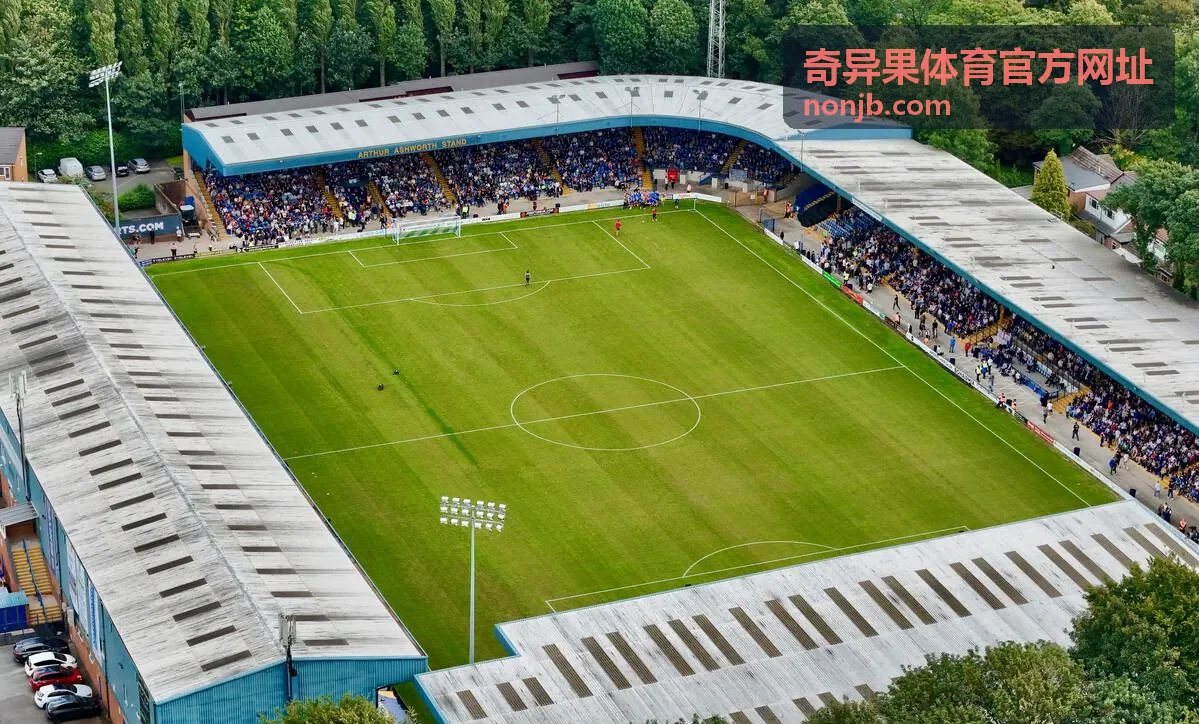 奇异果体育官方网址团队协作档奖励